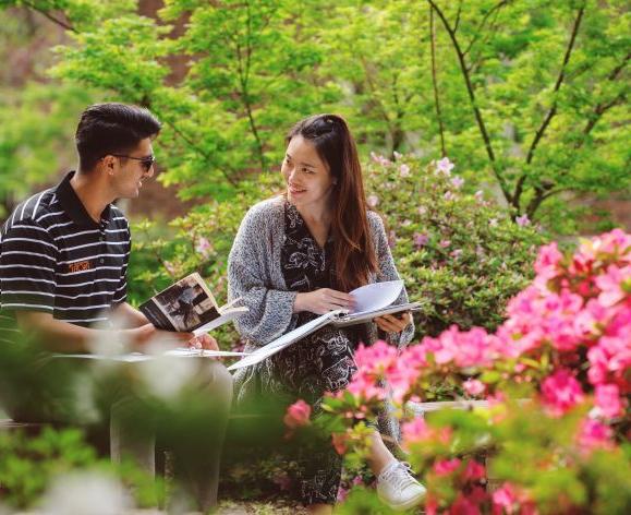 Students sitting outdoors, studying